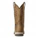 Ariat Damen Reitstiefel Anthem Waterproof